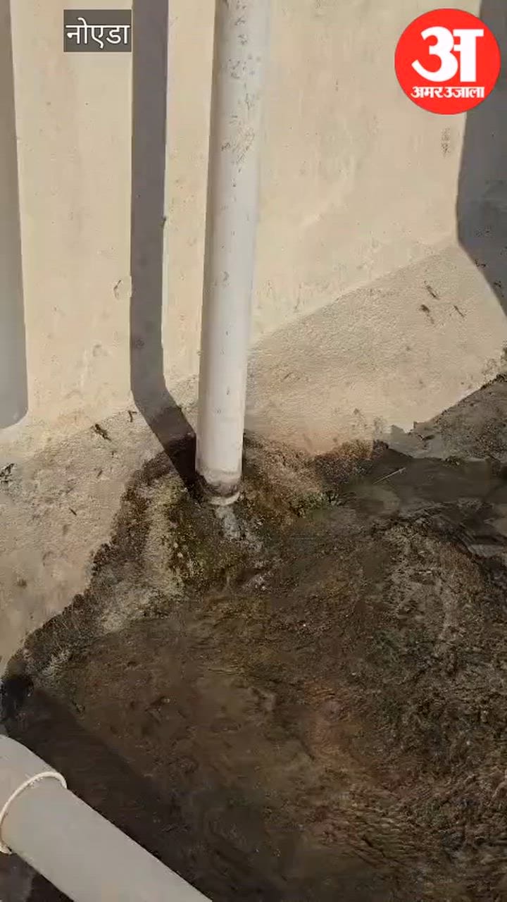 ग्रेटर नोएडा: रायल नेस्ट सोसायटी में पानी ओवर फ्लो होने से निवासी परेशान