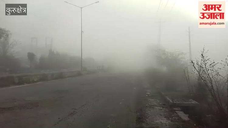 कुरुक्षेत्र में छाया गहरा कोहरा, 15 मीटर तक की दृश्यता