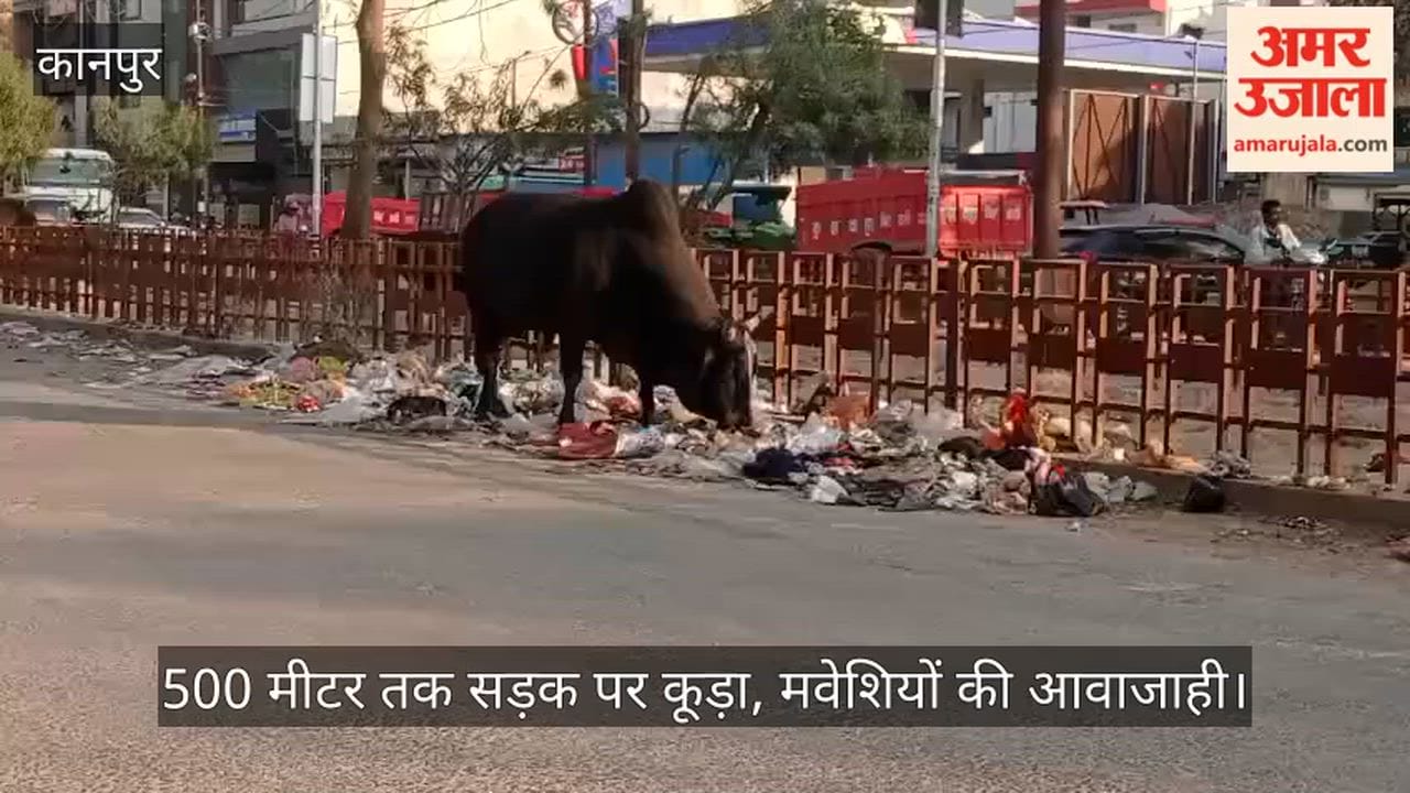 Kanpur Piles of garbage on  Salt Factory-Kakadev road raising risk of accidents