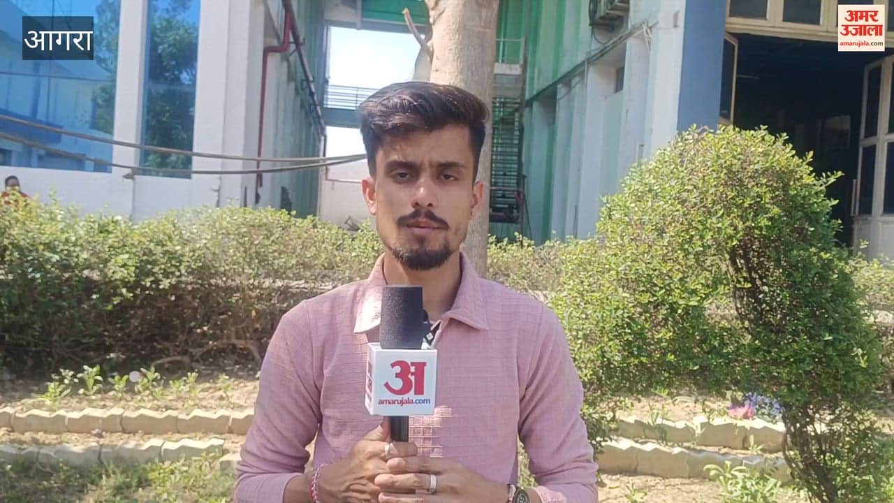 Use AI to Learn But Verify Before You Trust Experts Advise Board Students