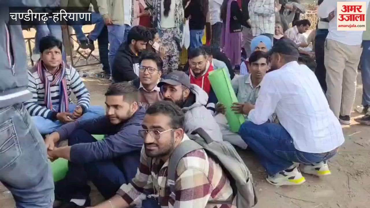 Haryana's newly appointed 2605 Patwaris protest, demand salary