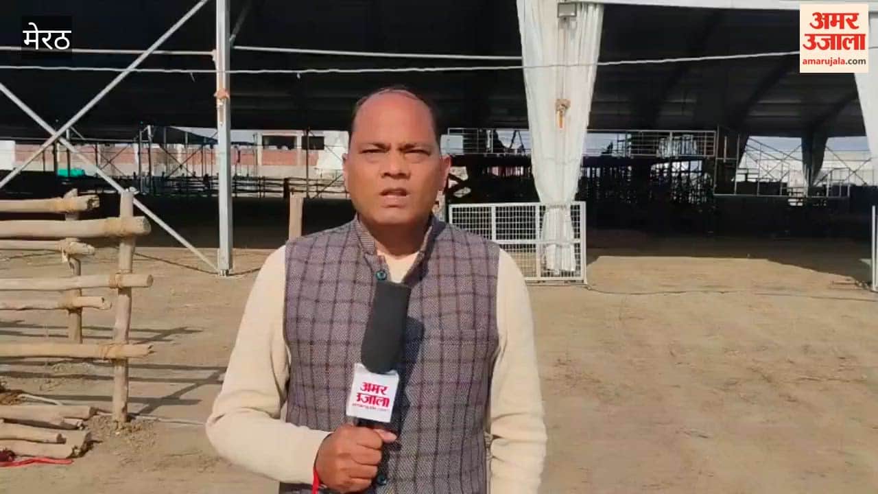 Meerut: PM Narendra Modi to Address Rally from 32-ft Wide Grand Stage in Mohiddinpur