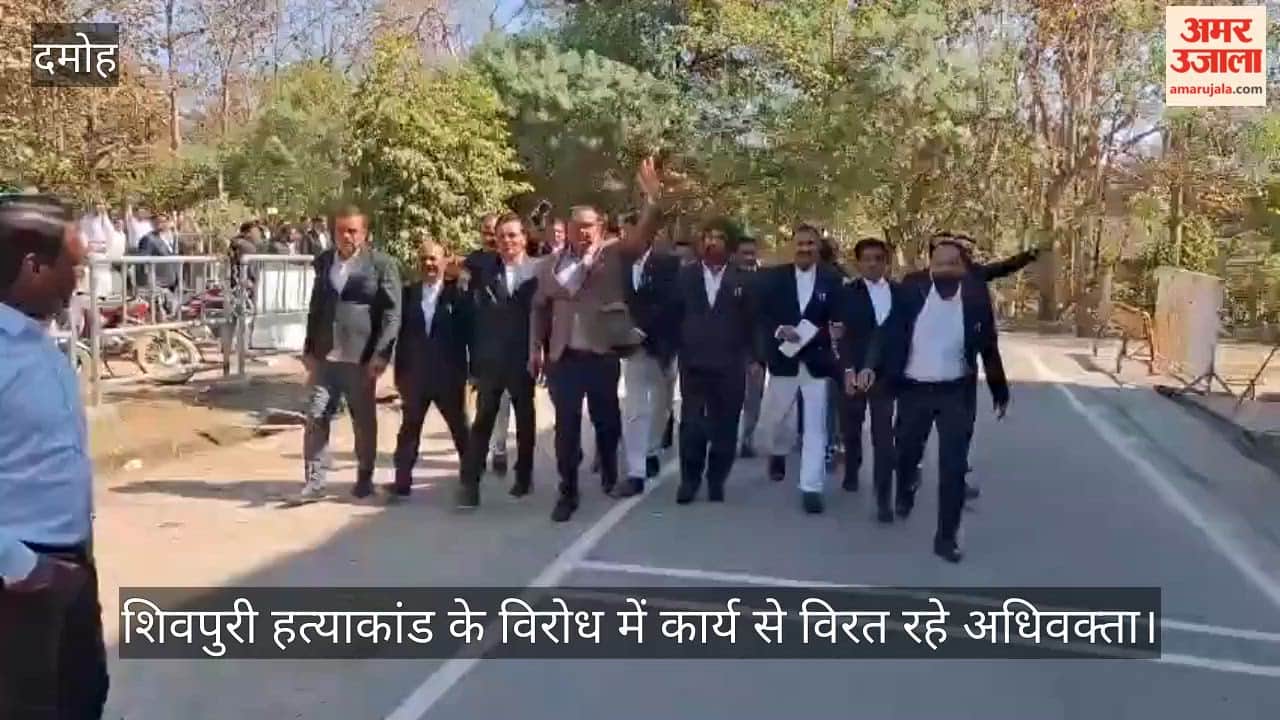 Damoh News: Pen-Down Strike Over Lawyer’s Murder in Karera, Memorandum Submitted to CM