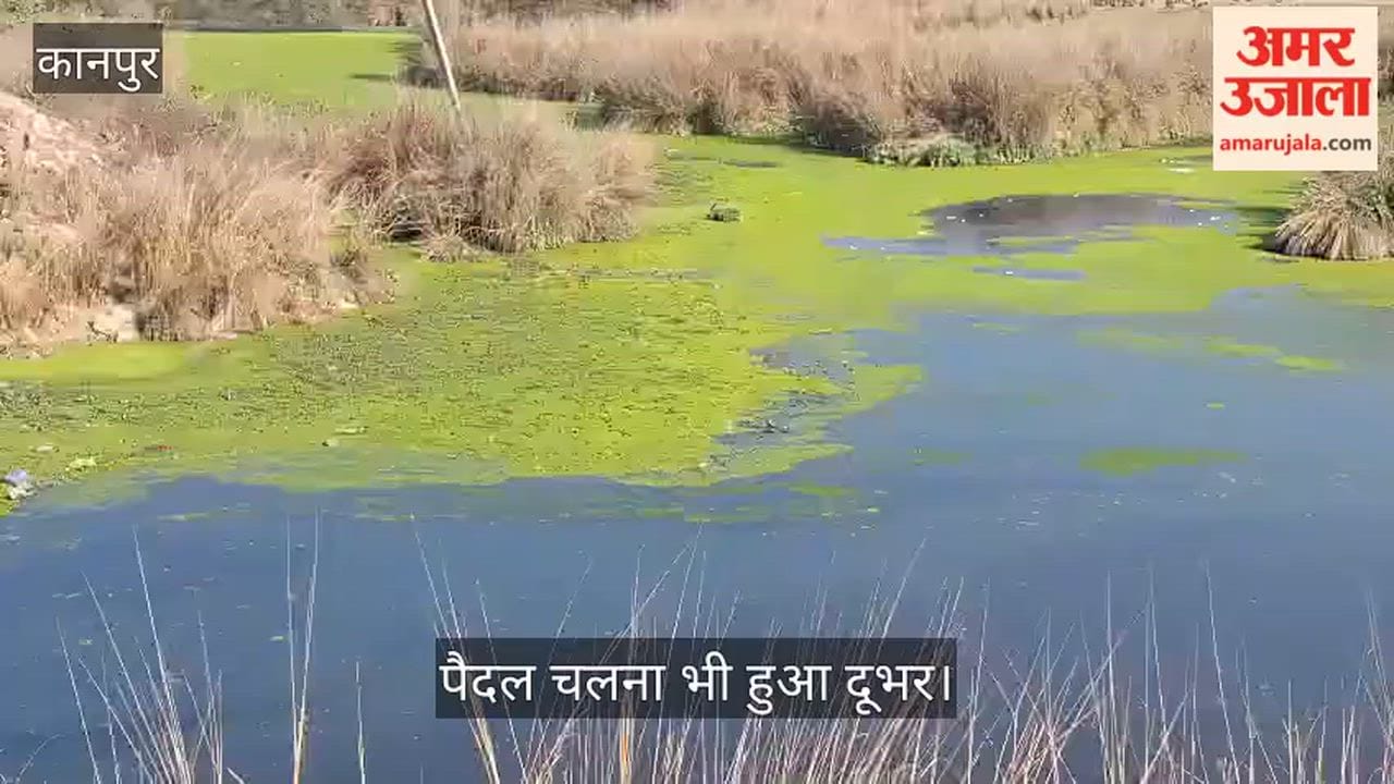 कानपुर: नंदना-बलरामपुर मार्ग पर तालाब में भरा काला बदबूदार पानी, बीमारियों की आहट से सहमे ग्रामीण