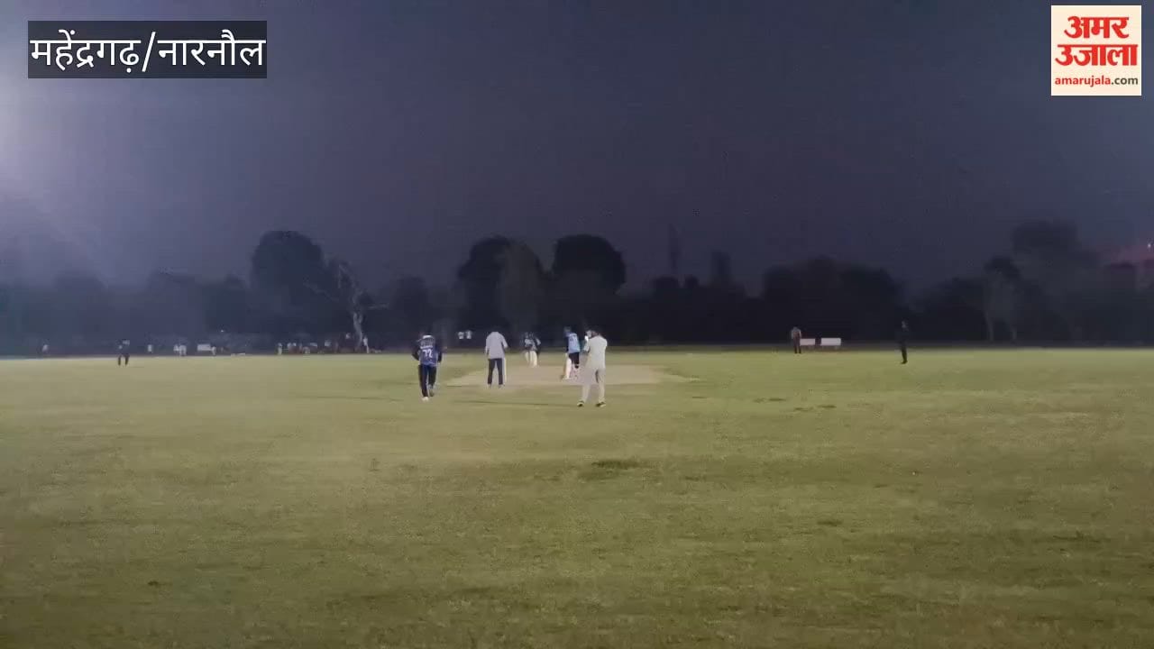 Cricket tournament organised in Narnaul