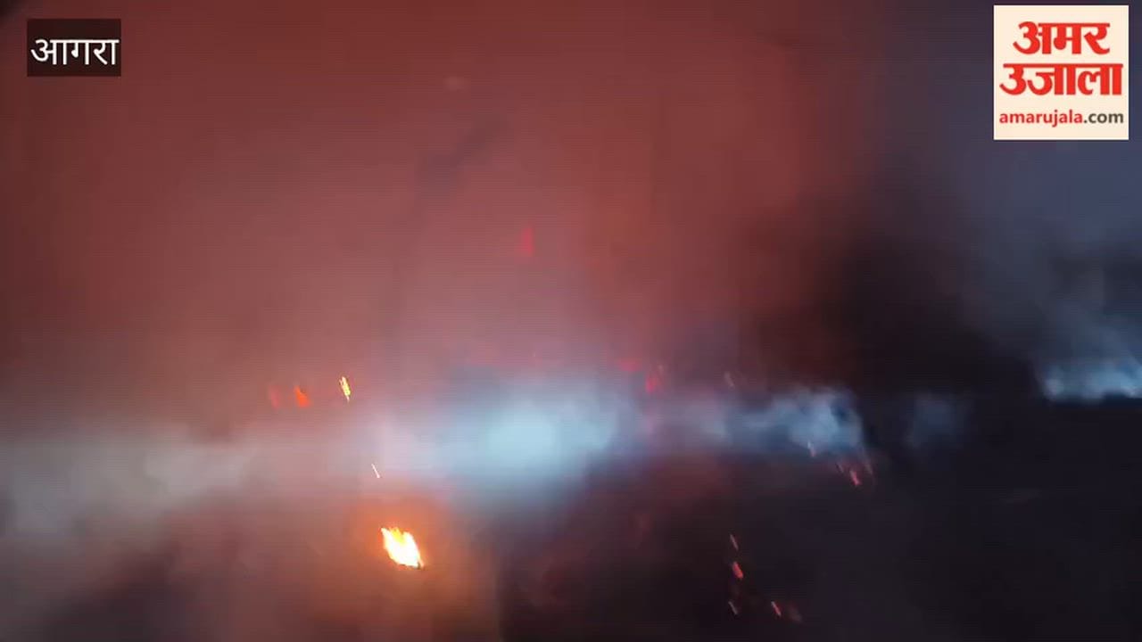 Short Circuit Sparks Blaze in Hut Six Livestock Burned Alive in Agra Village
