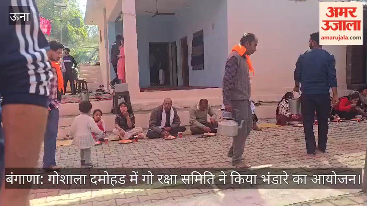 Bangana: Cow Protection Committee organized a feast at the cowshed in Damohad.