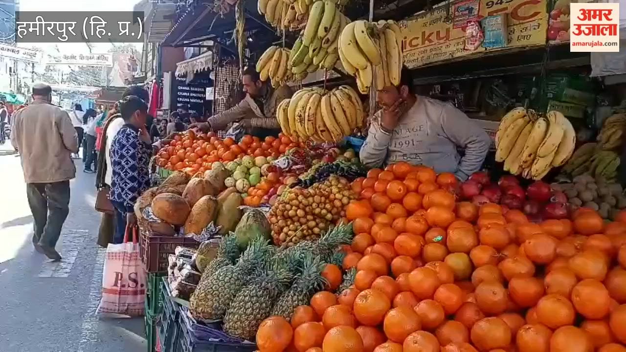 हमीरपुर: महाशिवरात्रि पर्व पर फलों के दामों में पांच से दस रुपये का इजाफा