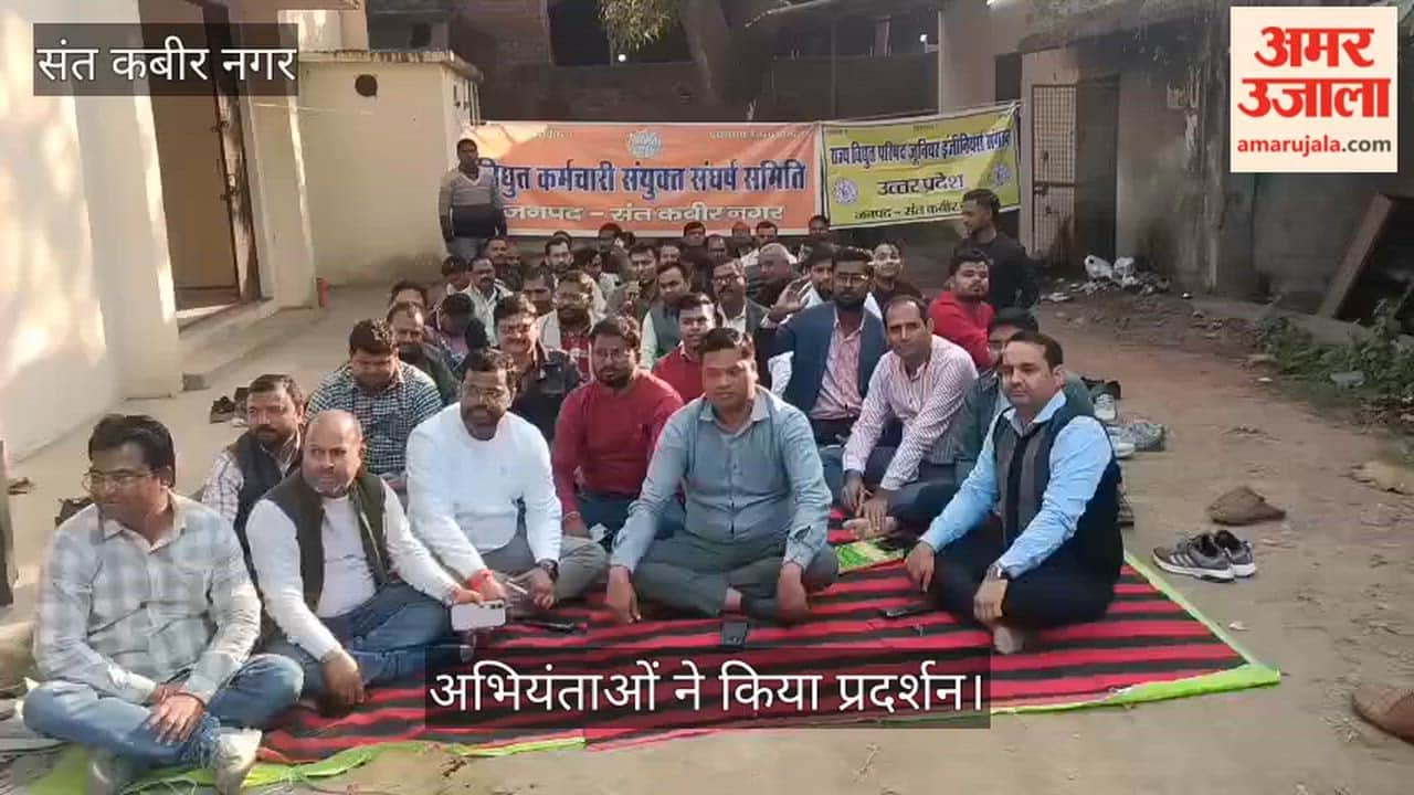 Electricity workers protested against privatization and the Electricity Amendment Bill.