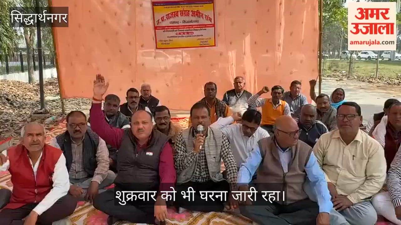 Collection Amino performed