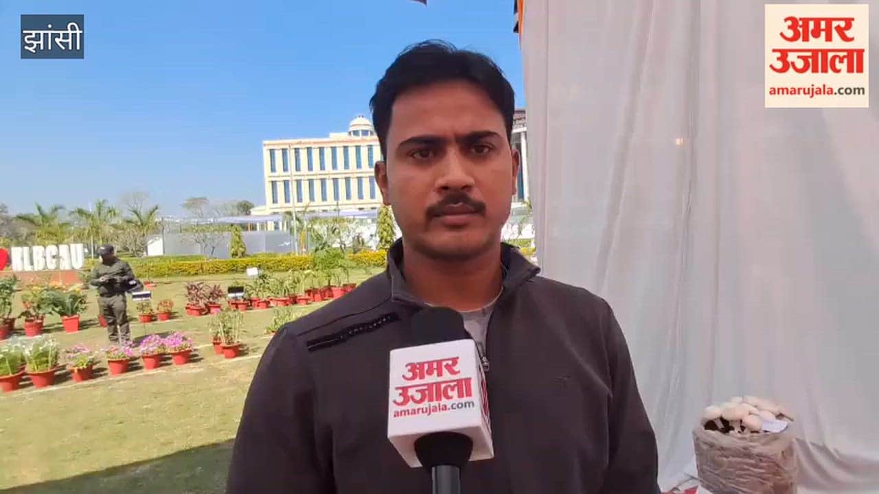 Oyster mushroom cultivation requires less income and effort, but more profit, and is ready in 30 days.