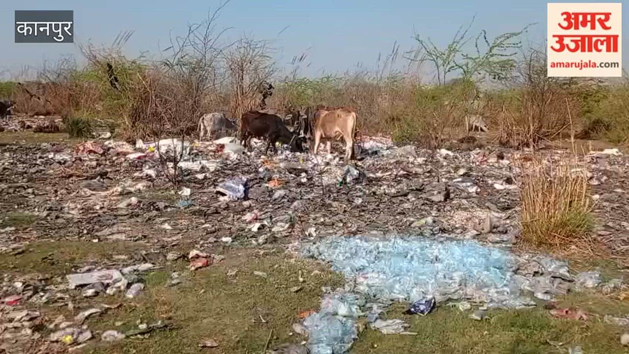Kanpur: Guesthouse operators have built a garbage dump on village community land