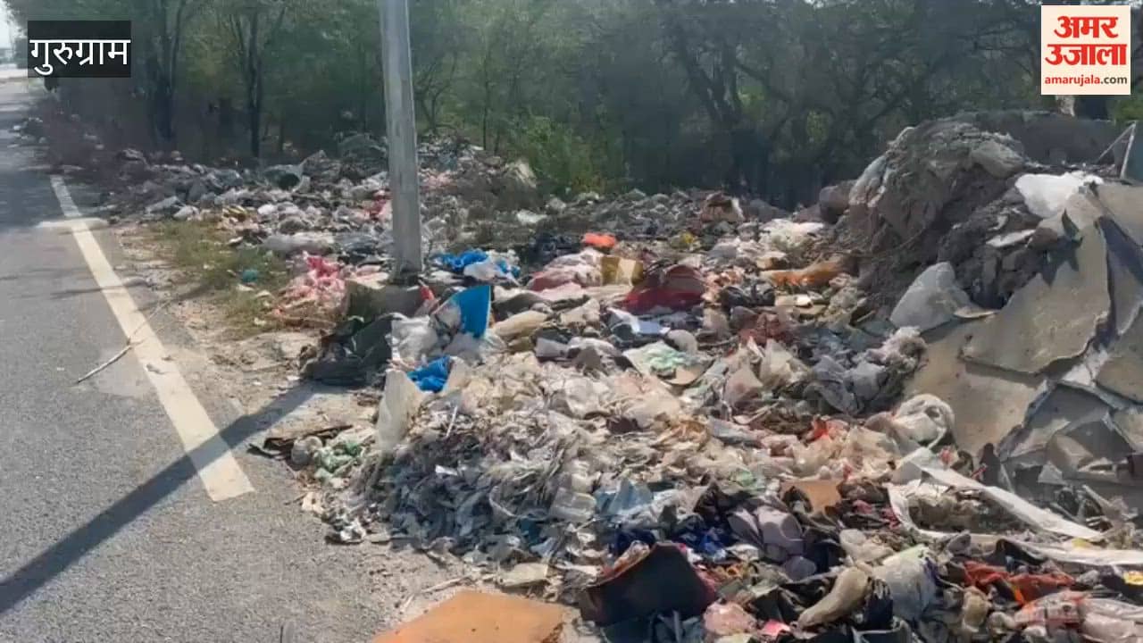 Illegal garbage dumping in Manesar valley poses infection risk
