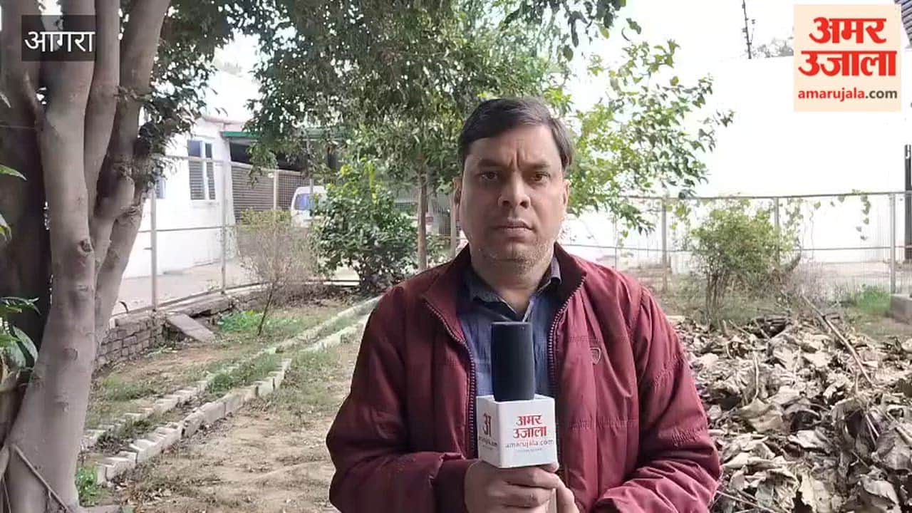 A group of minor girls fight for alms, jam for half an hour