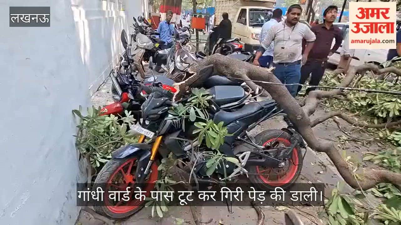 VIDEO: गांधी वार्ड के पास टूट कर गिरी पेड़ की डाली, हटाकर किनारे किया गया