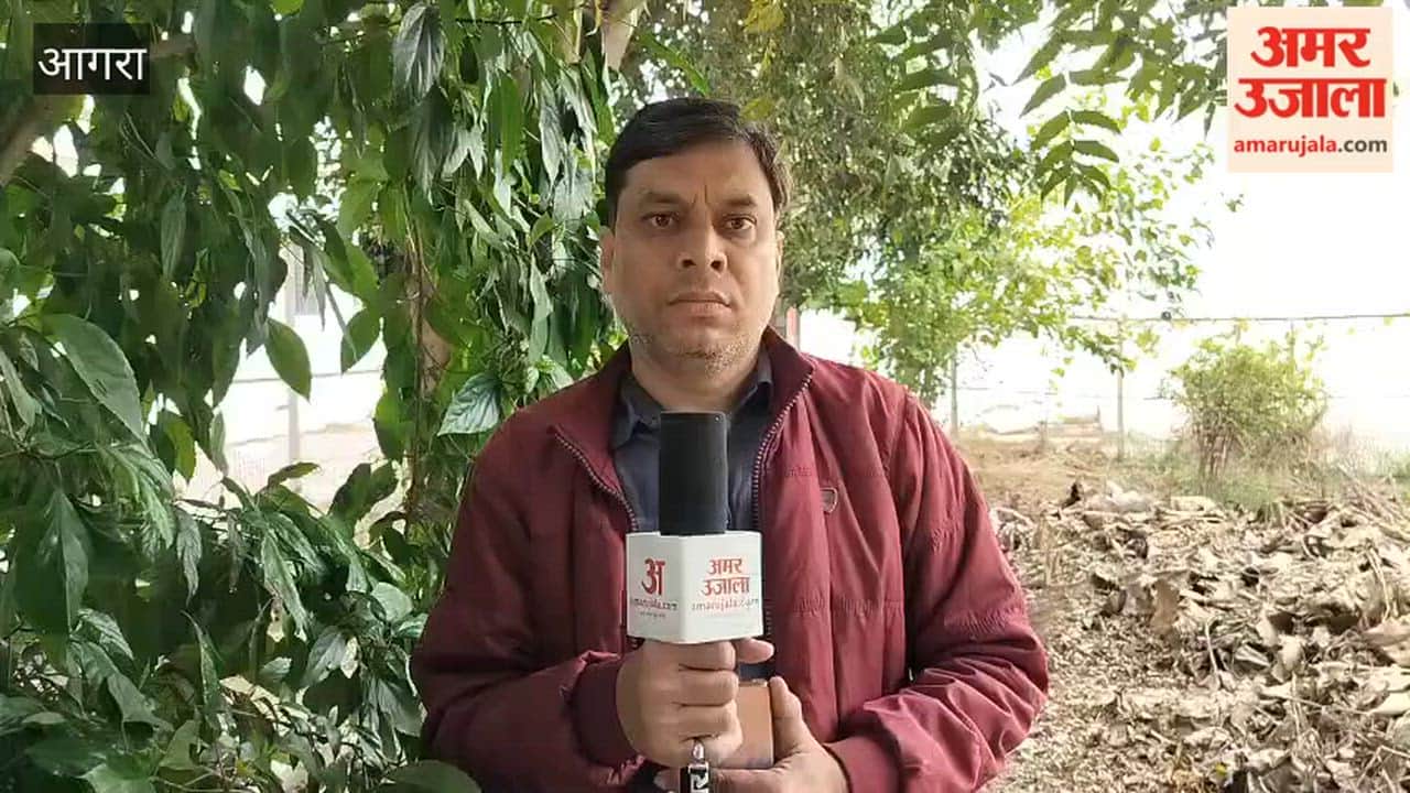 Threatened with gun to protest against molestation arrested