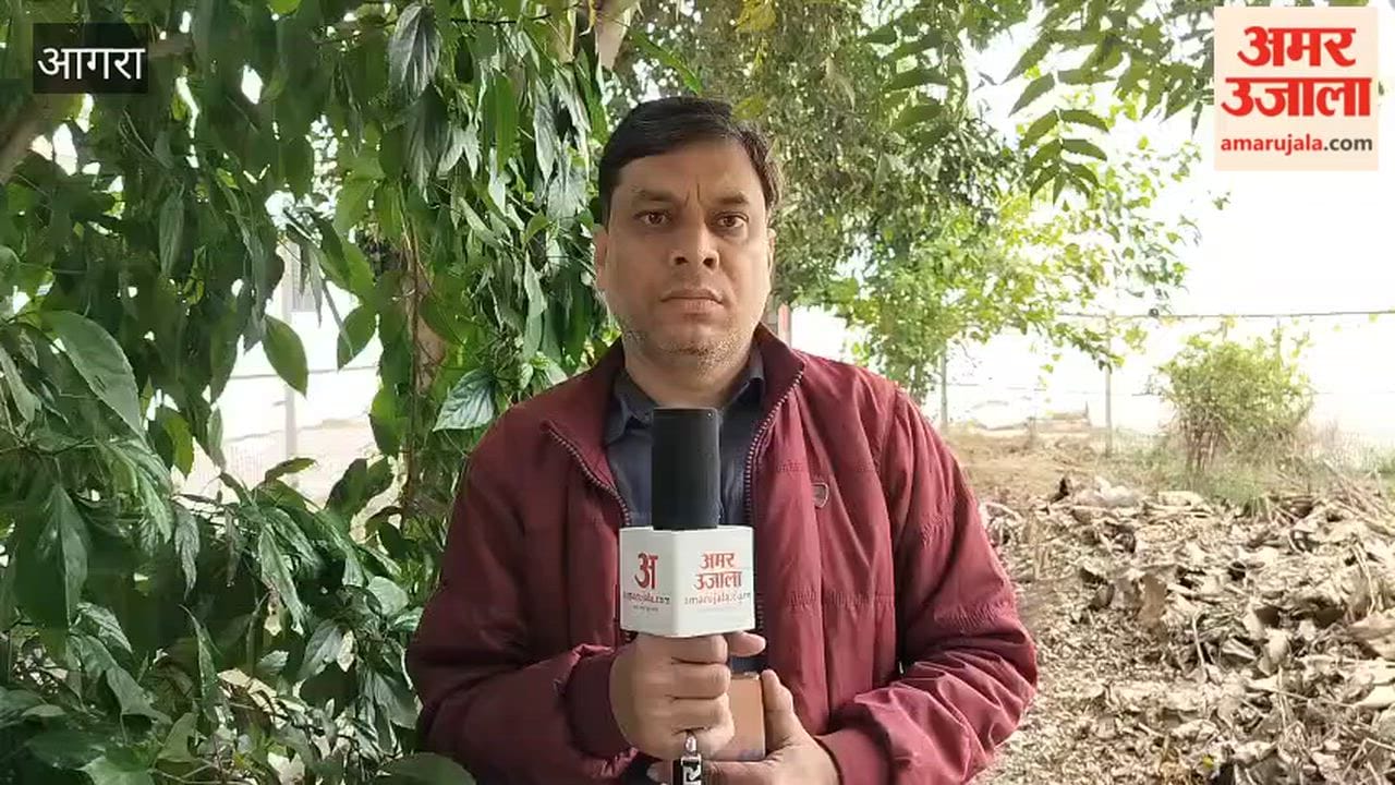 Threatened with gun to protest against molestation arrested