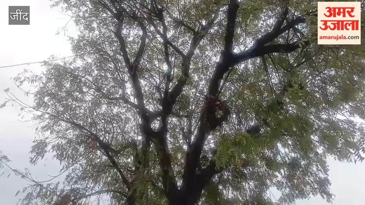 Lightning struck a house in Jind's Julana, burning equipment worth lakhs.