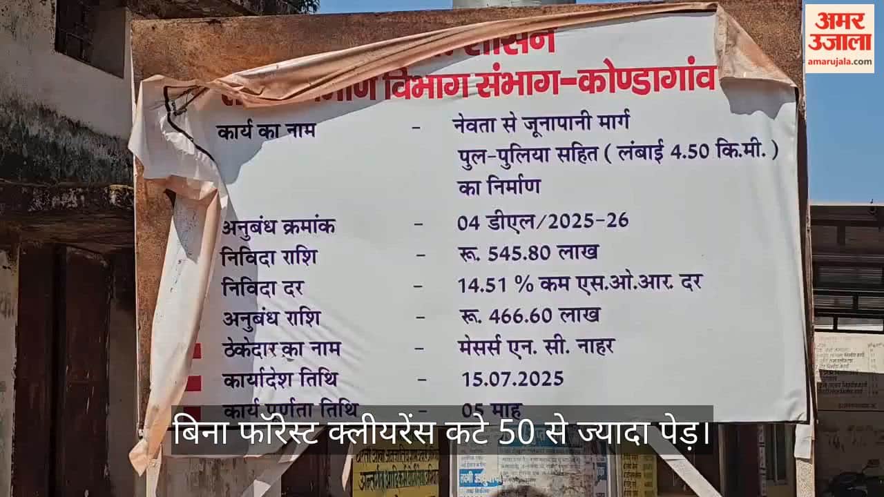 Big scam in Nevta Junapani road construction more than 50 trees felled without forest clearance in Kondagaon
