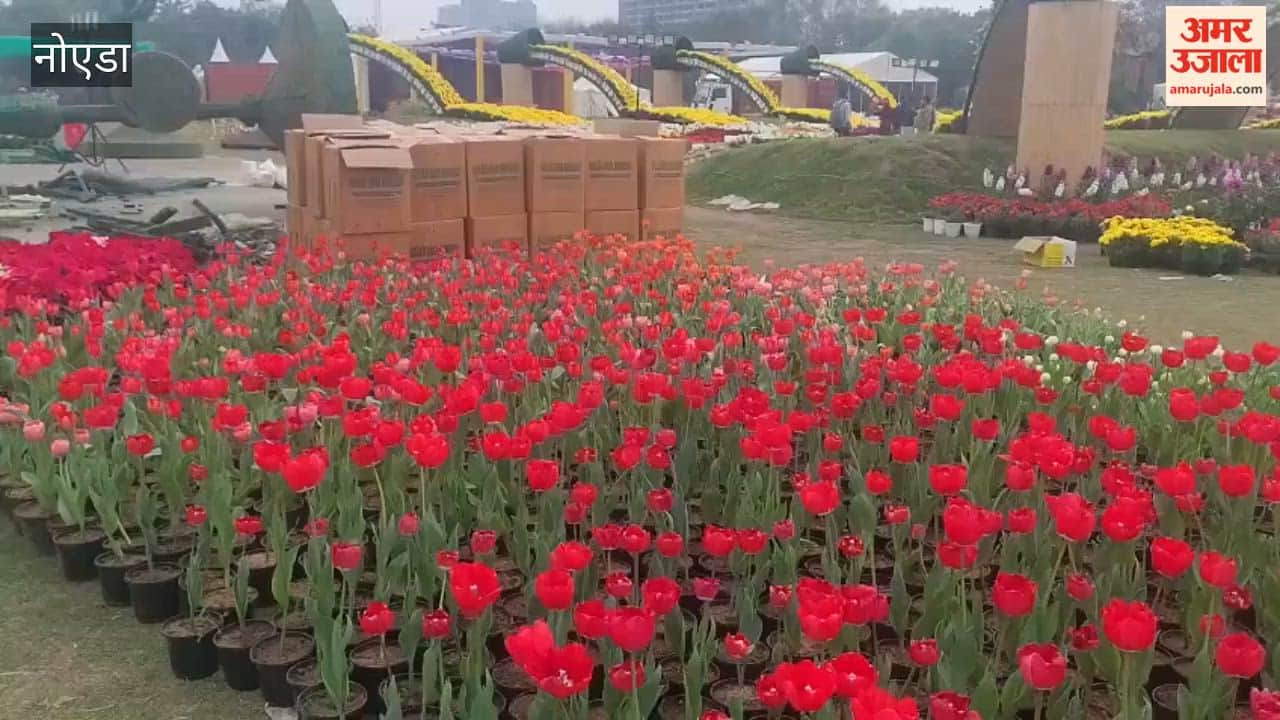 Preparations complete for flower exhibition at Shivalik Park