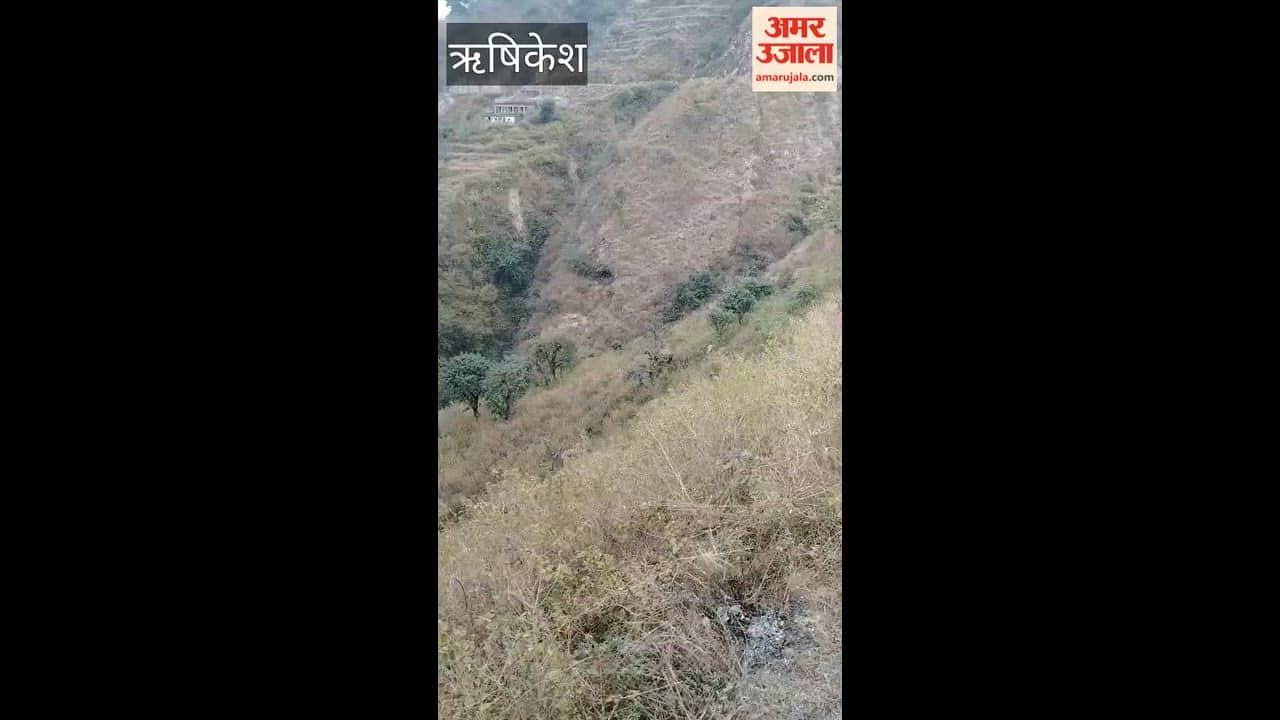 Rishikesh: Video of elephant reaching Akra area of Rajaji Tiger Reserve goes viral