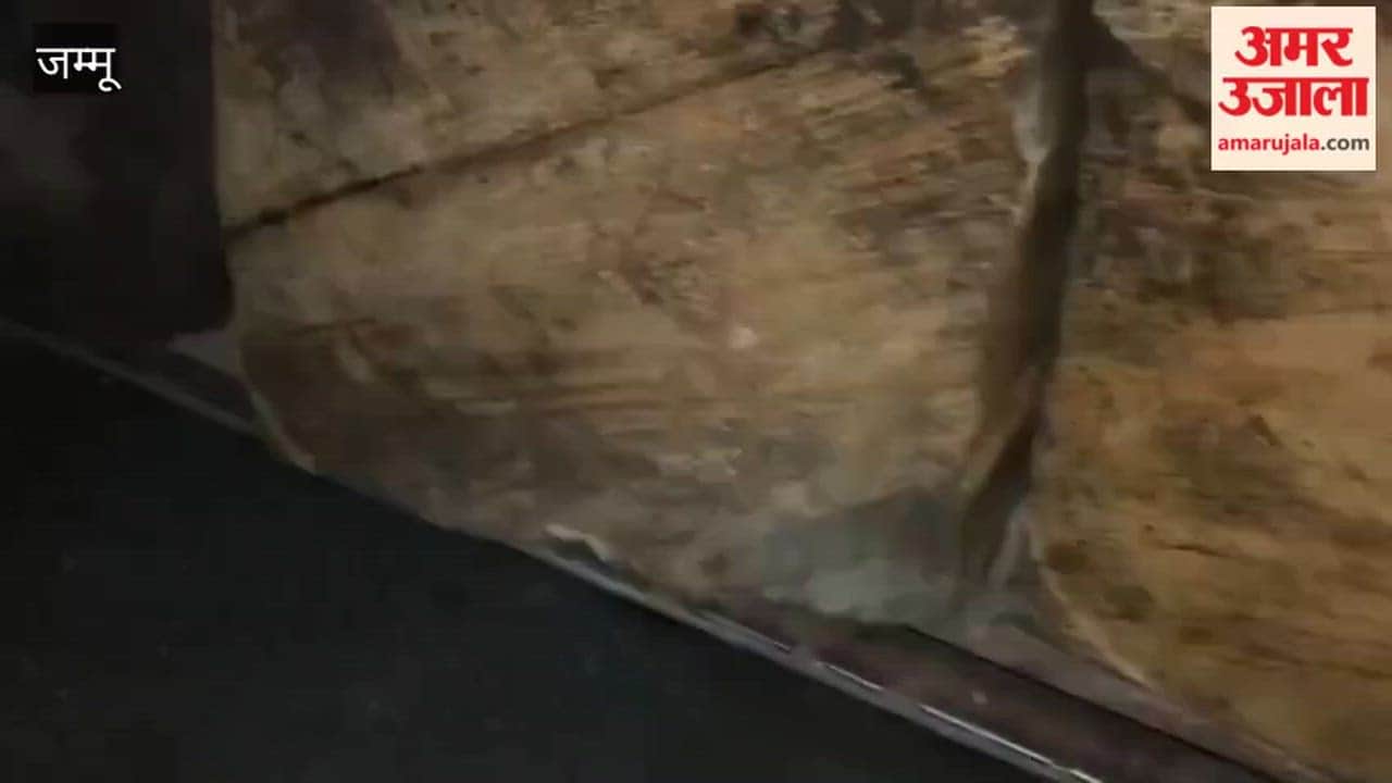 Vehicle loaded with cedar wood seized in Chinani, forest personnel attacked