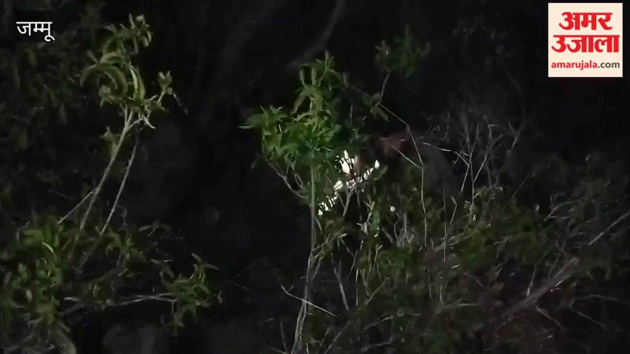 Man trapped in ditch rescued safely