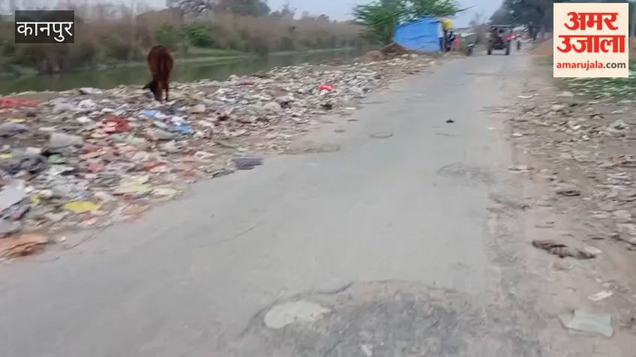 Kanpur: Piles of garbage litter the Kursauli Canal Road.