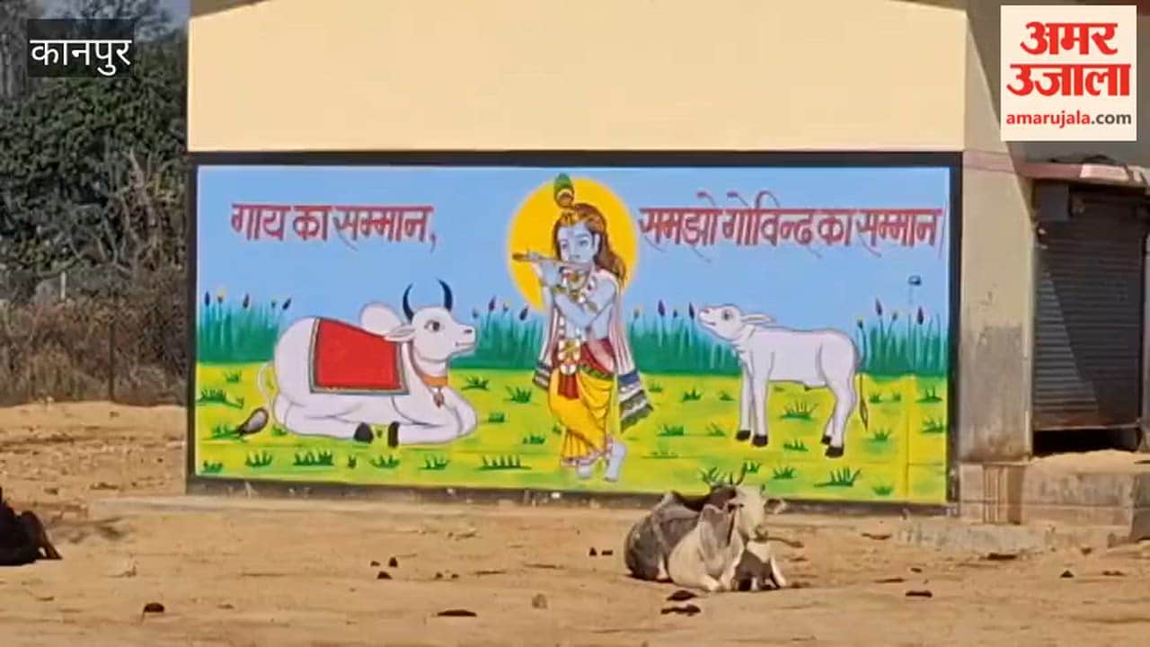 Birhar cow shelter boasts impeccable arrangements and cleanliness, which will leave you awestruck