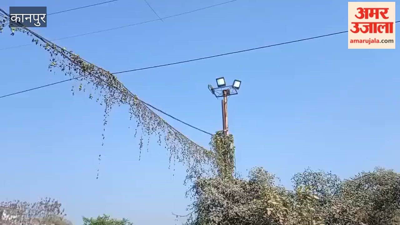 Kanpur: High-mast tower lights remain on during the day in Nankari, costing Kesco dearly