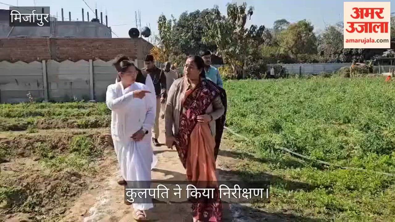 Vice Chancellor of Maa Vindhyavasini University inspected sustainable organic farming