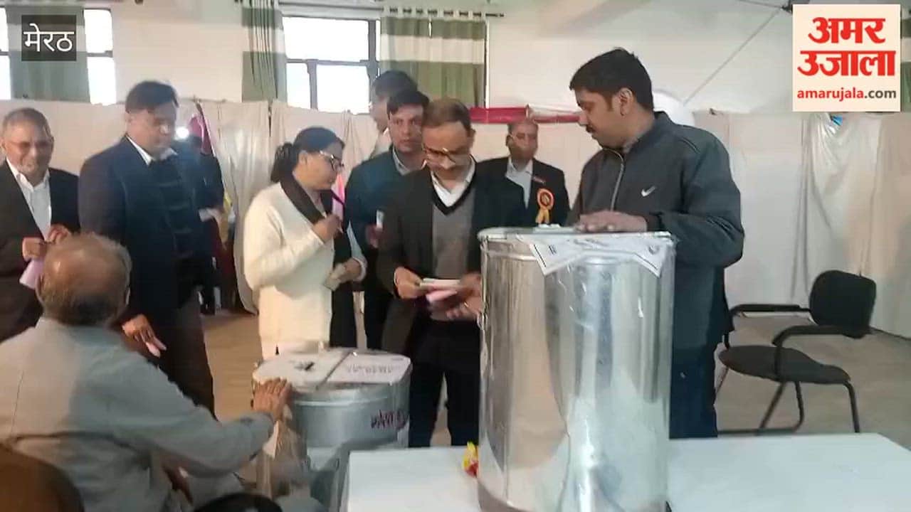 Meerut: Advocates Cast Votes During Meerut Bar Association Elections