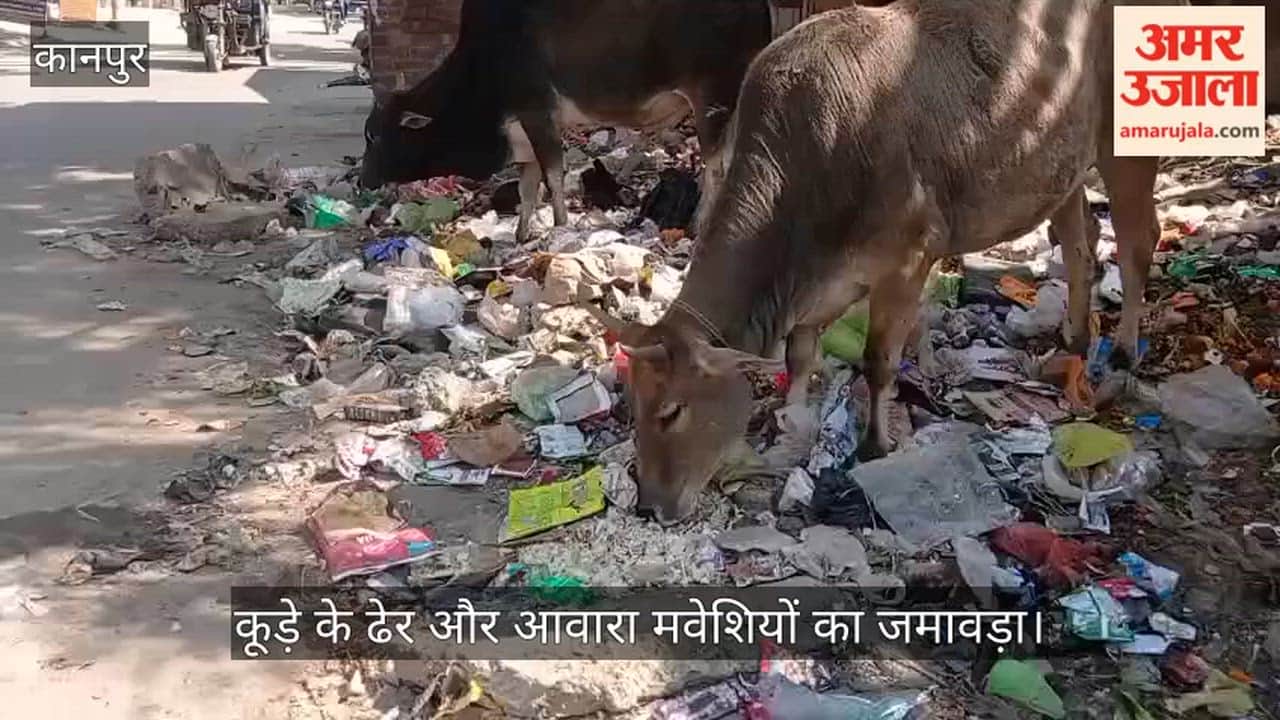 कानपुर: चौबेपुर-बिठूर मार्ग बना डंपिंग ग्राउंड,  सड़क किनारे फैला कूड़ा दे रहा बीमारी और हादसों को दावत