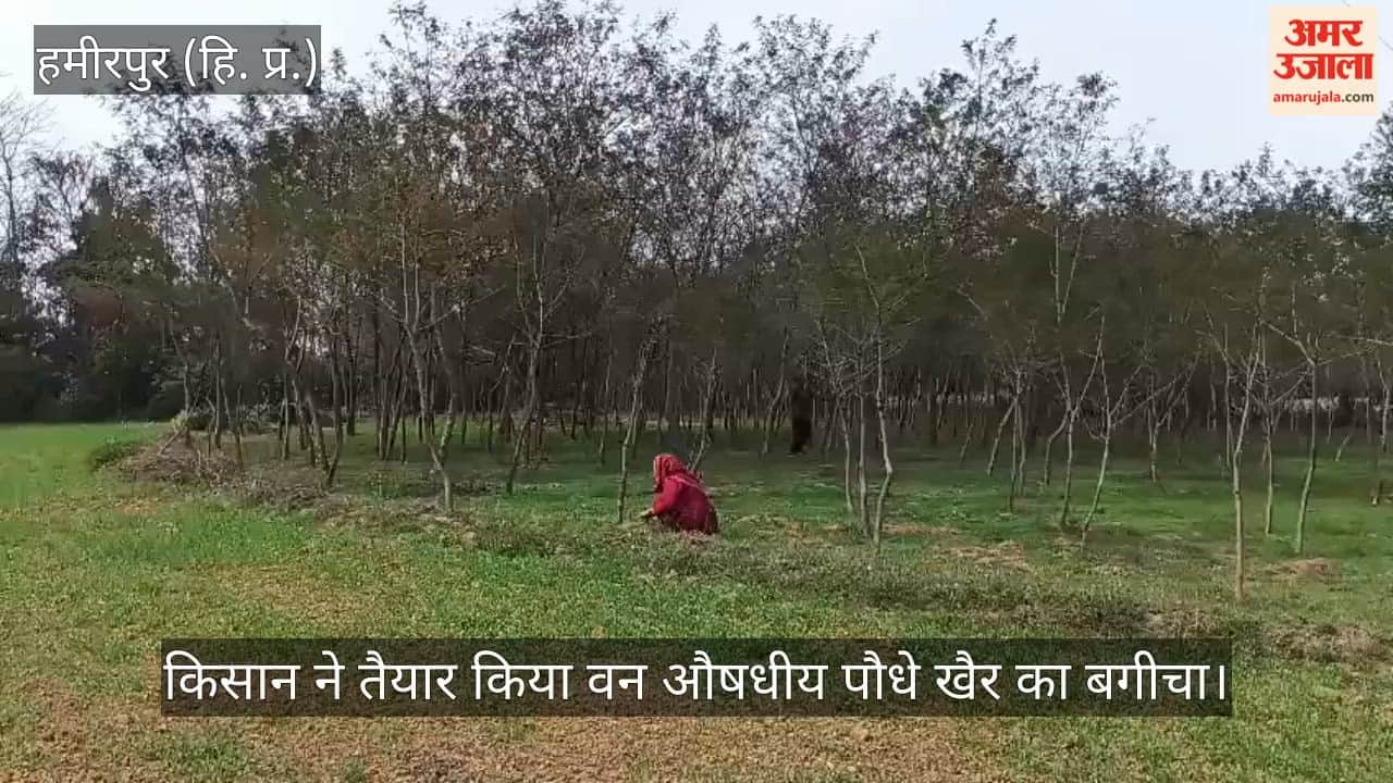Farmer prepares garden of forest medicinal plant Khair