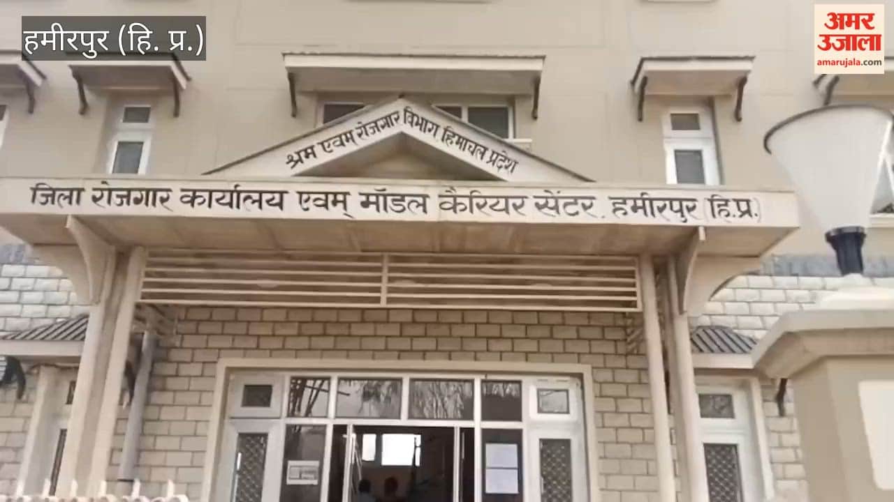 Hamirpur 27 candidates got employment in the employment fair