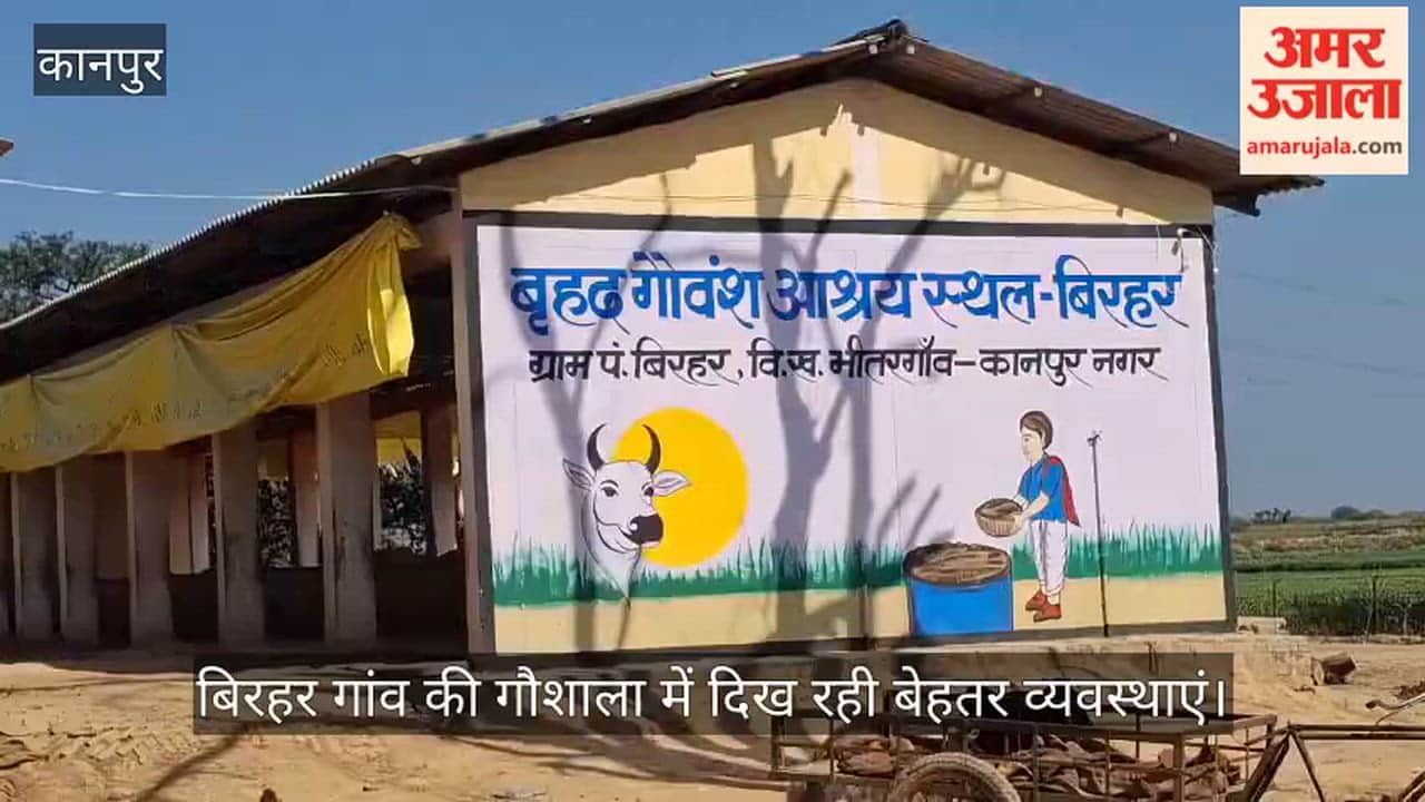 Kanpur Better arrangements at cattle shelter became an example employees became example