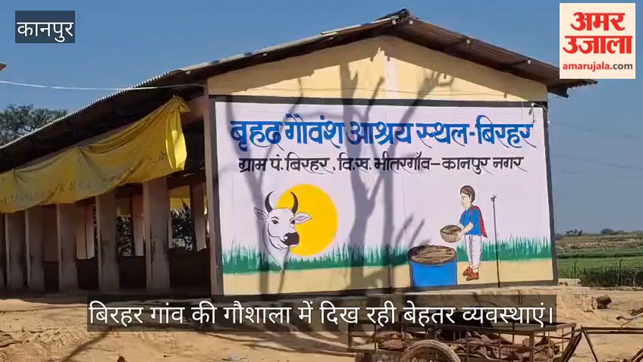Kanpur Better arrangements at cattle shelter became an example employees became example