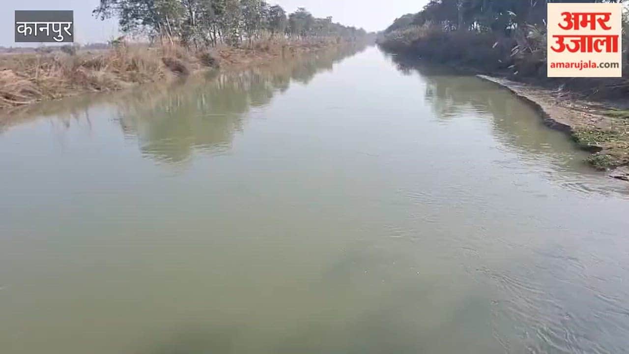 Ramganga canal water reaches Saadh area, farmers get relief for final irrigation of wheat