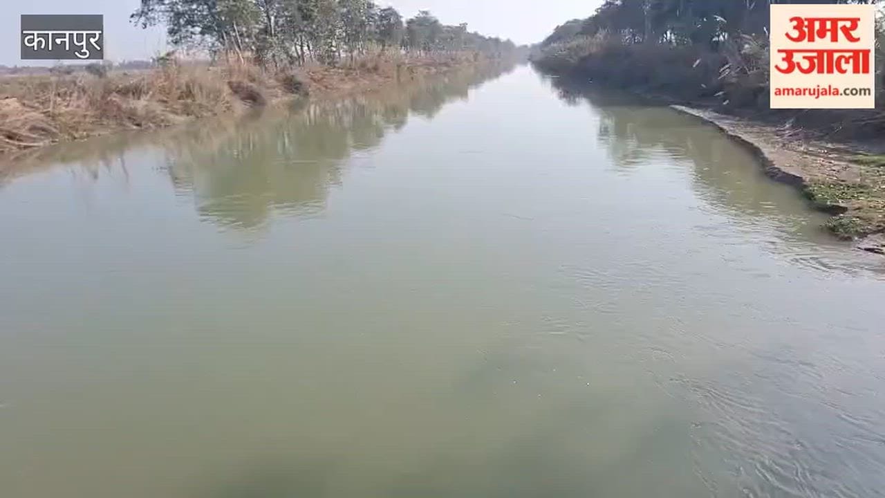 Ramganga canal water reaches Saadh area, farmers get relief for final irrigation of wheat