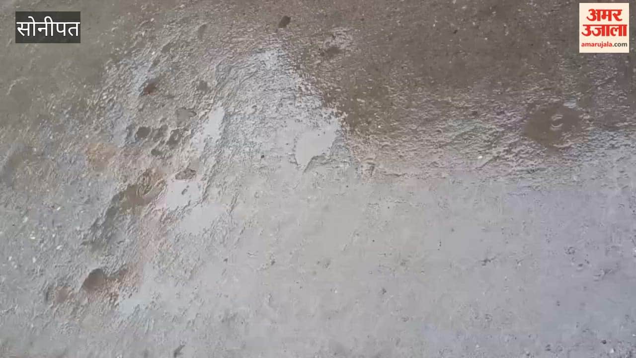 Rain, thunder and strong winds lashed Gohana in Sonepat.