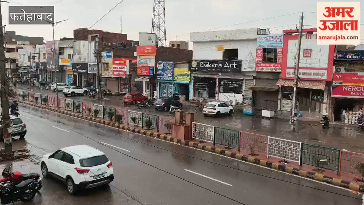 Weather takes a turn in Fatehabad, drizzle brings smiles to farmers' faces
