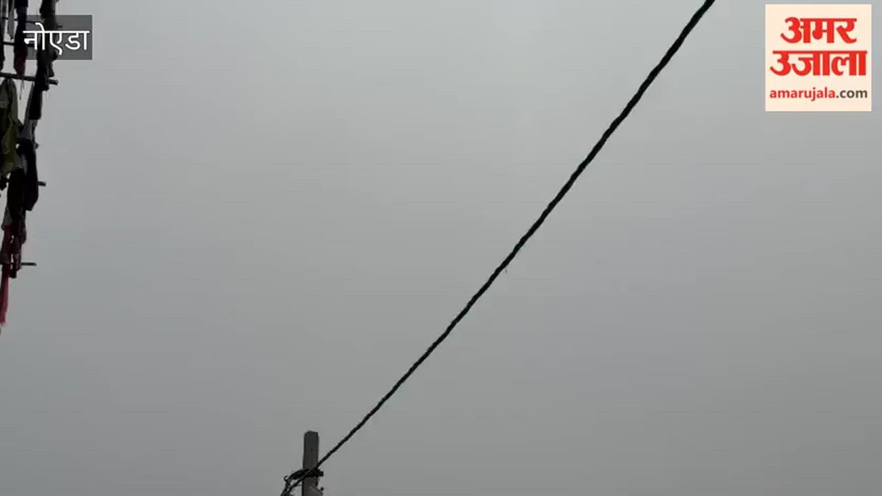 Weather changes in Noida, rain occurs at many places