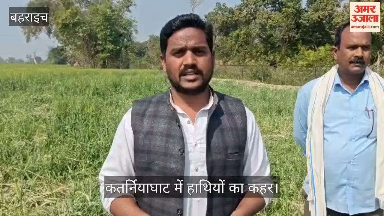 बहराइच के कतर्नियाघाट में हाथियों का कहर, फेंसिंग तोड़ 20 किसानों की फसल की चौपट