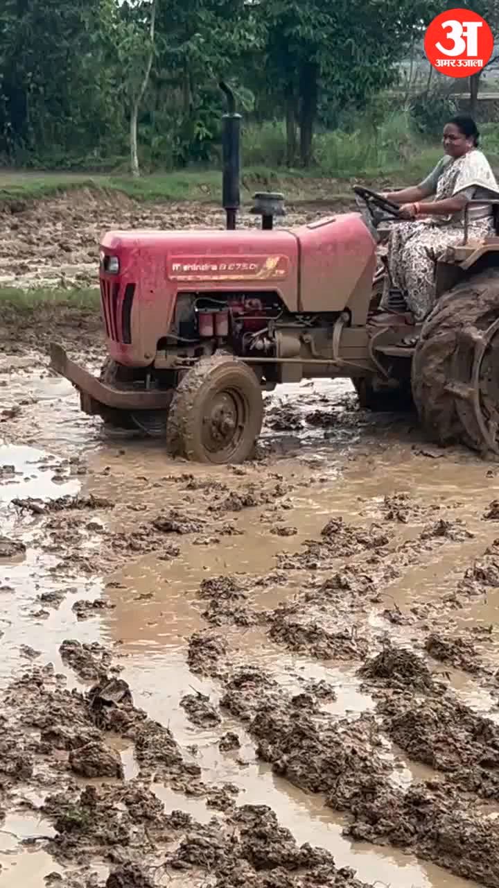 कोंडागांव : ट्रैक्टर संभाल खेत में उतरीं राज्यसभा सांसद फूलोदेवी नेताम, धान रोपाई का वीडियो वायरल