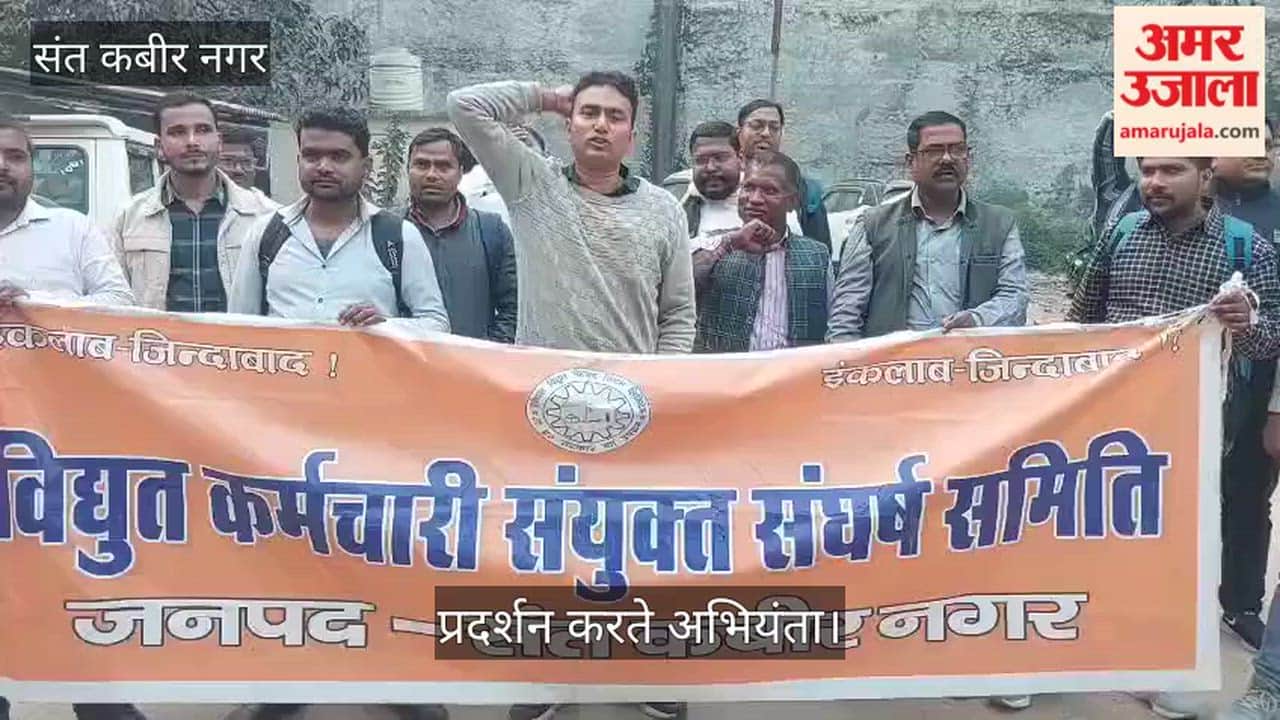 Electricity workers staged a sit-in protest against privatisation.