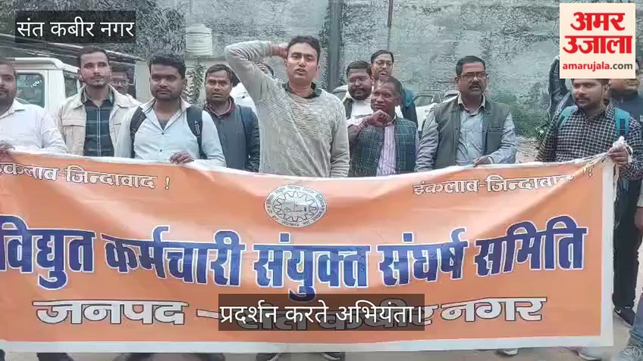 Electricity workers staged a sit-in protest against privatisation.