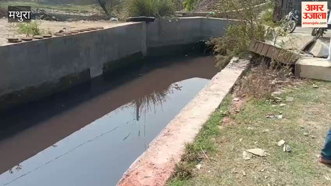 After death of four youths in an accident in Mathura officials reached spot for inspection