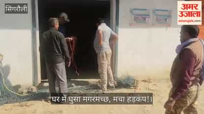 A crocodile entered a house, causing panic! The entire area was awakened in terror at midnight.