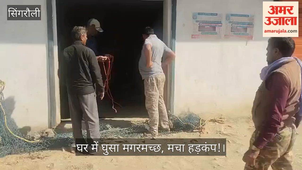 A crocodile entered a house, causing panic! The entire area was awakened in terror at midnight.