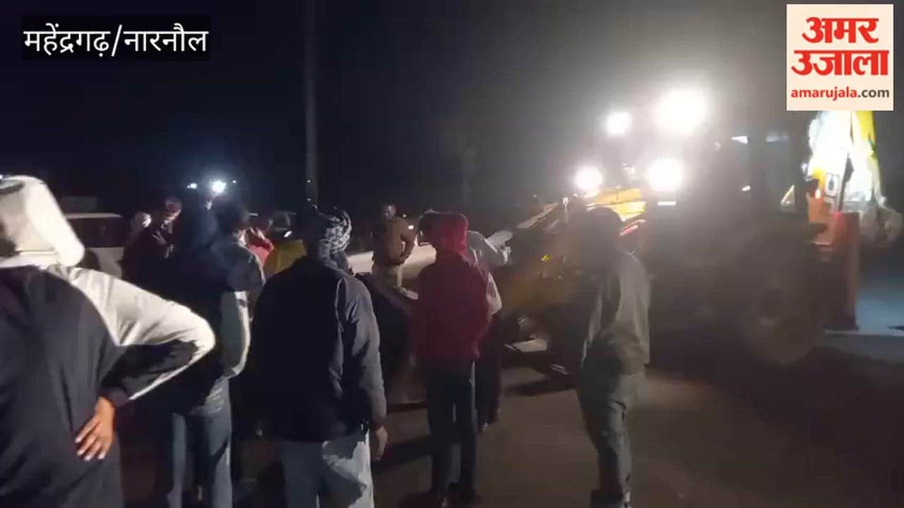 Two cattle crushed by a roadways bus